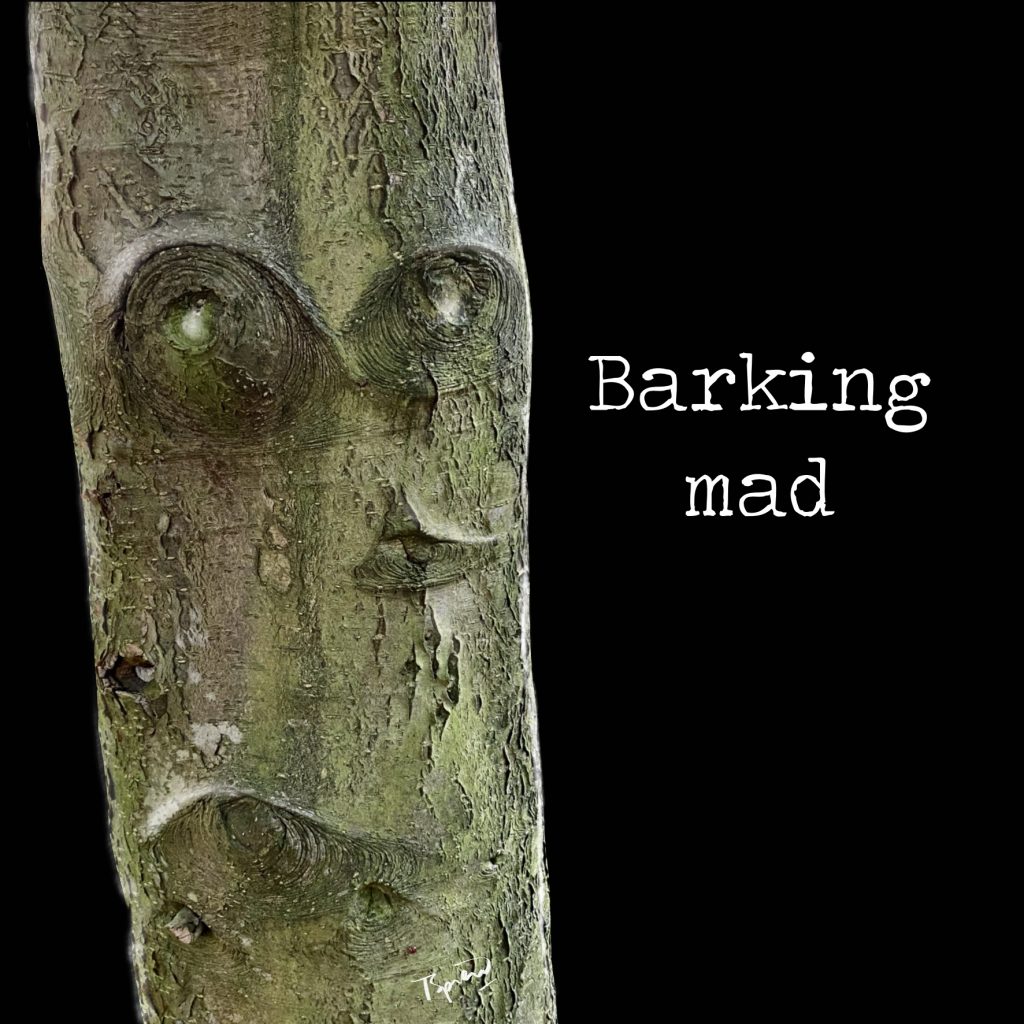 Barking mad